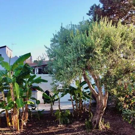 Villa Mare Blue Sr Nuovissima Villa 150M Dal Mare Adatta A Bambini Terrauzza Exteriör bild