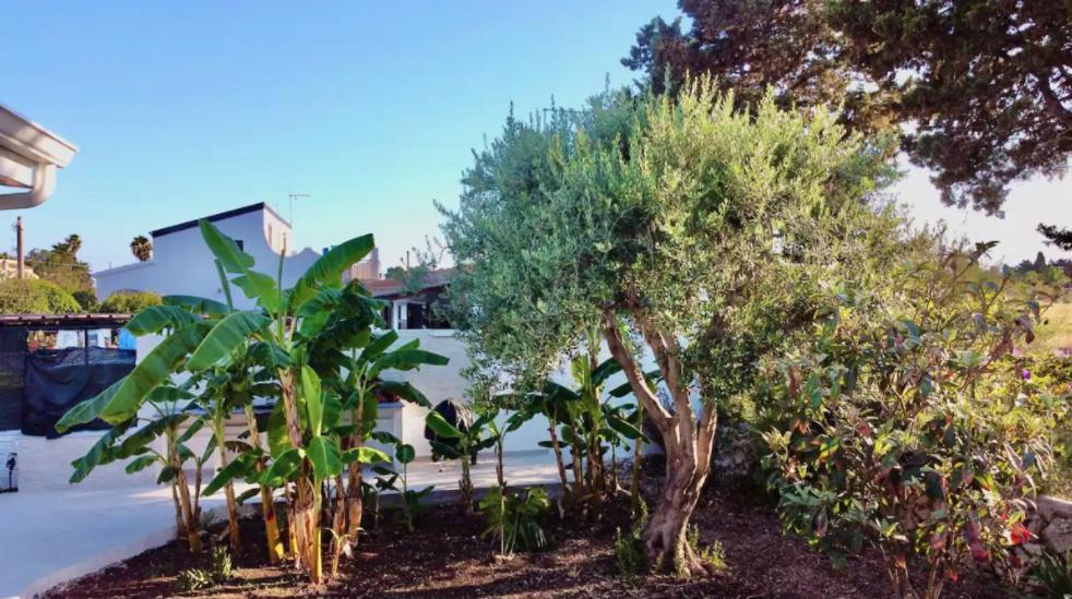Villa Mare Blue Sr Nuovissima Villa 150M Dal Mare Adatta A Bambini Terrauzza Exteriör bild
